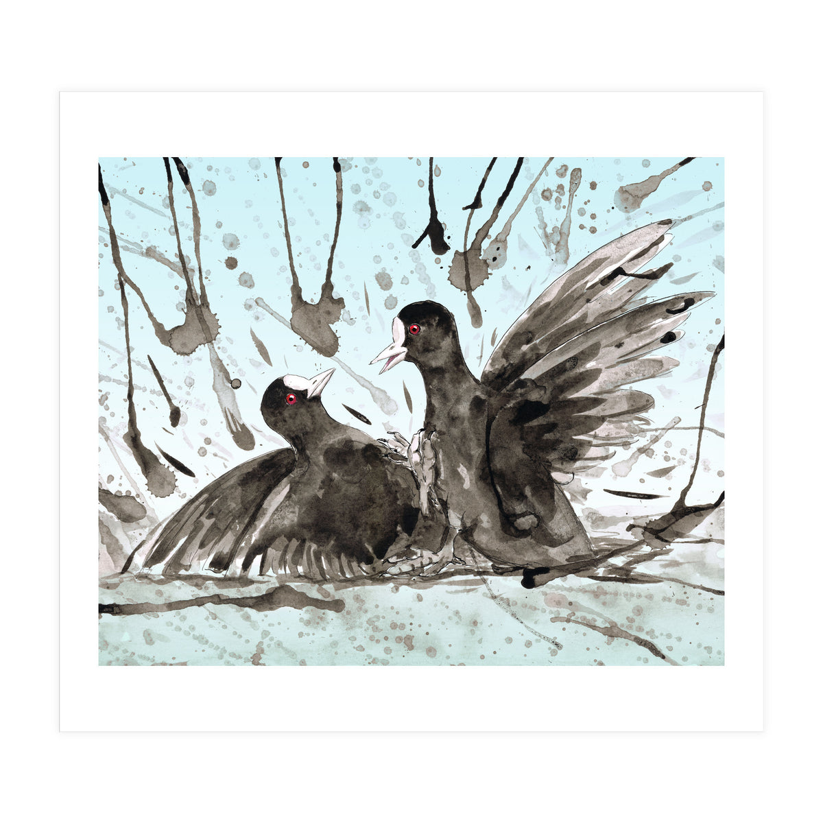 Fighting coots (Print Only)