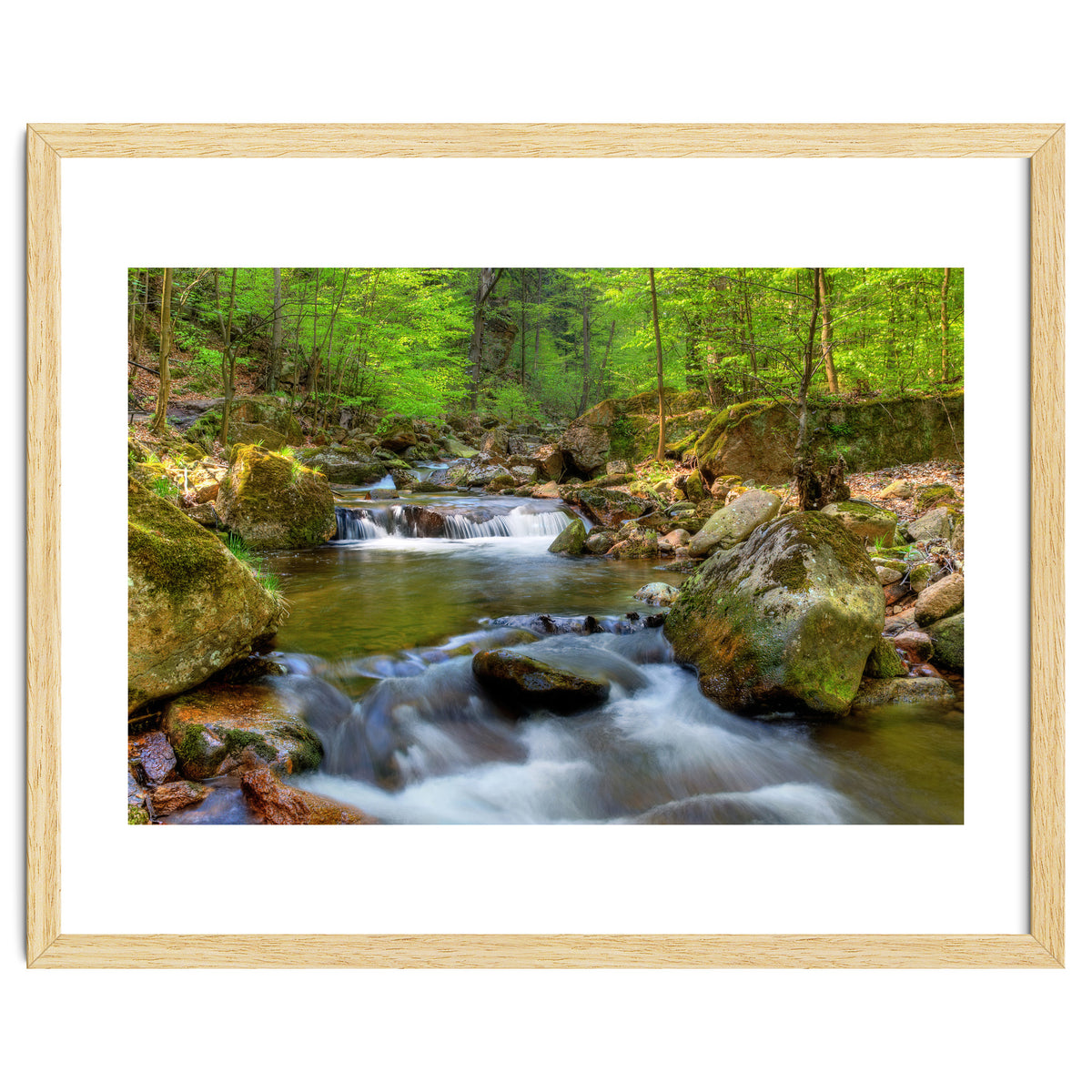 Spring At Harz Moutain