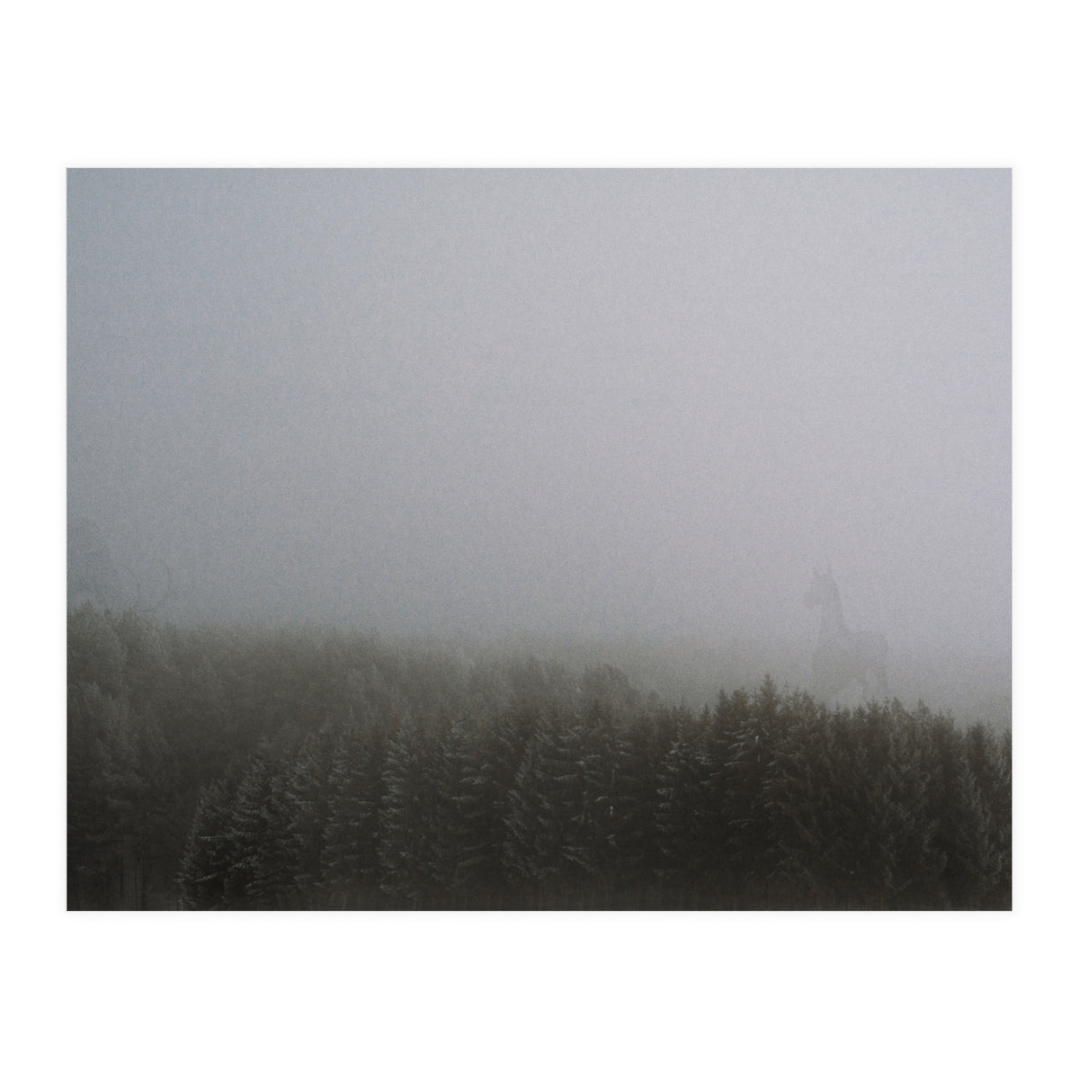 The Mist (Print Only)