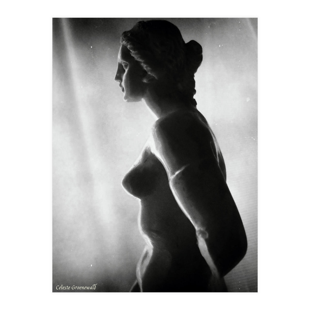 Venusian II (Print Only)