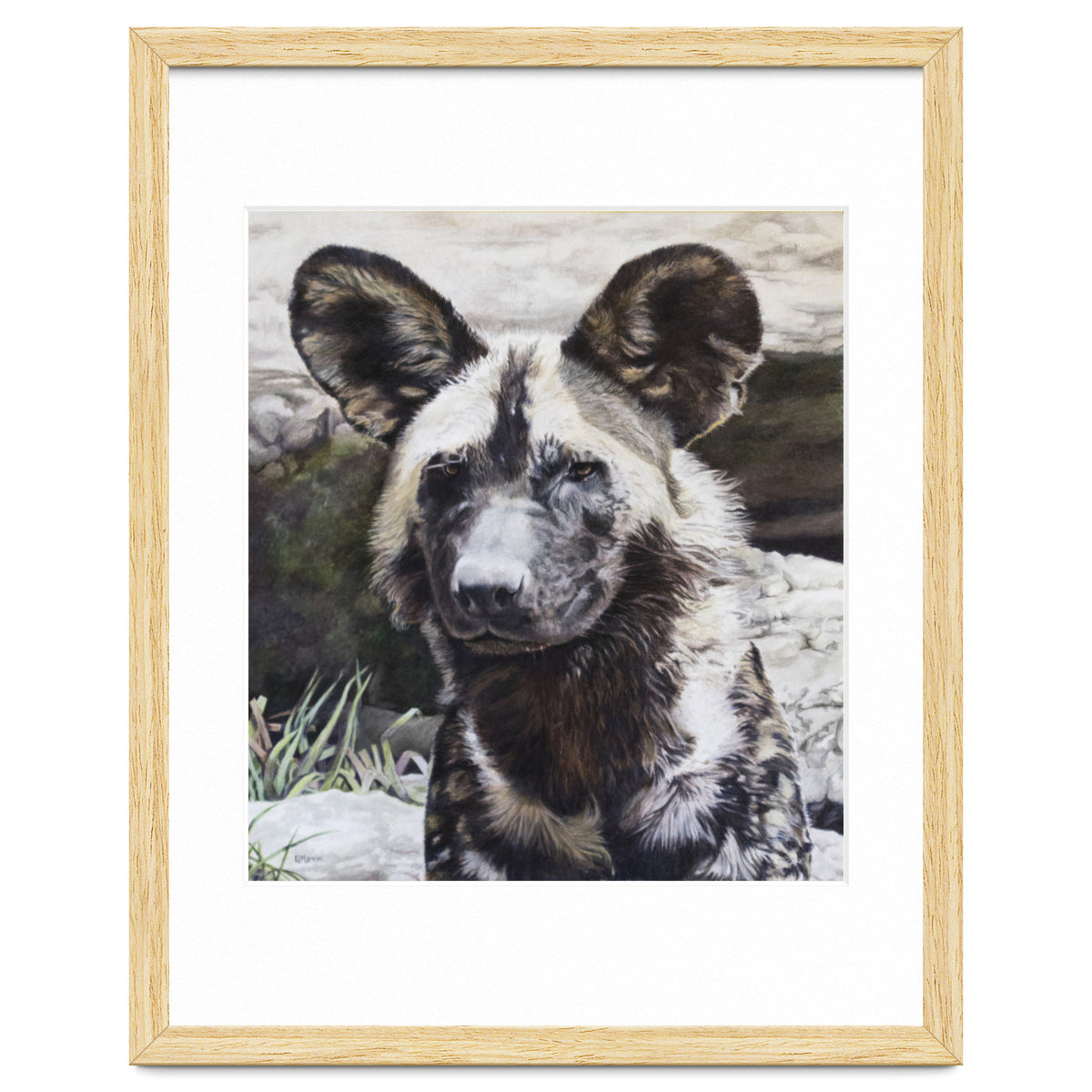 African Painted Dog II