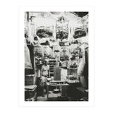 Yuen Po (Print Only) thumbnail
