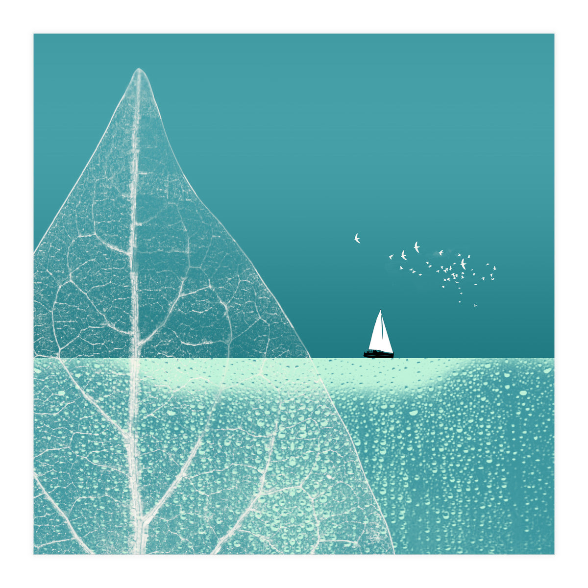 Ocean Wonderland Ii-B  (Print Only)