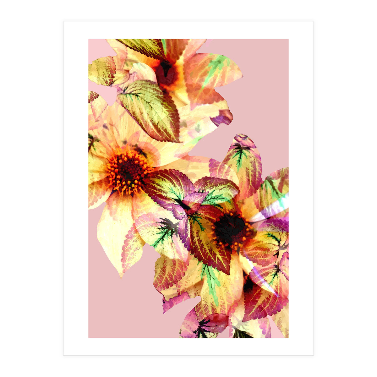 Flower Power (Print Only)