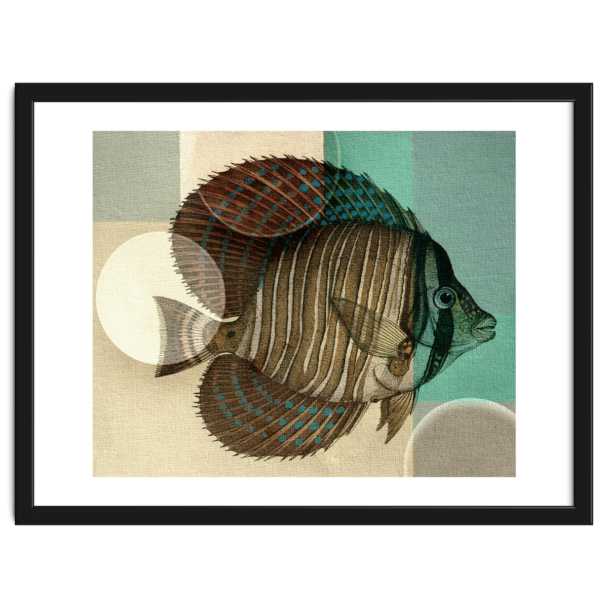 Fish Between Circles 4