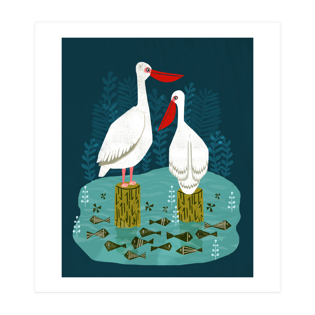 Pelicans (Print Only)