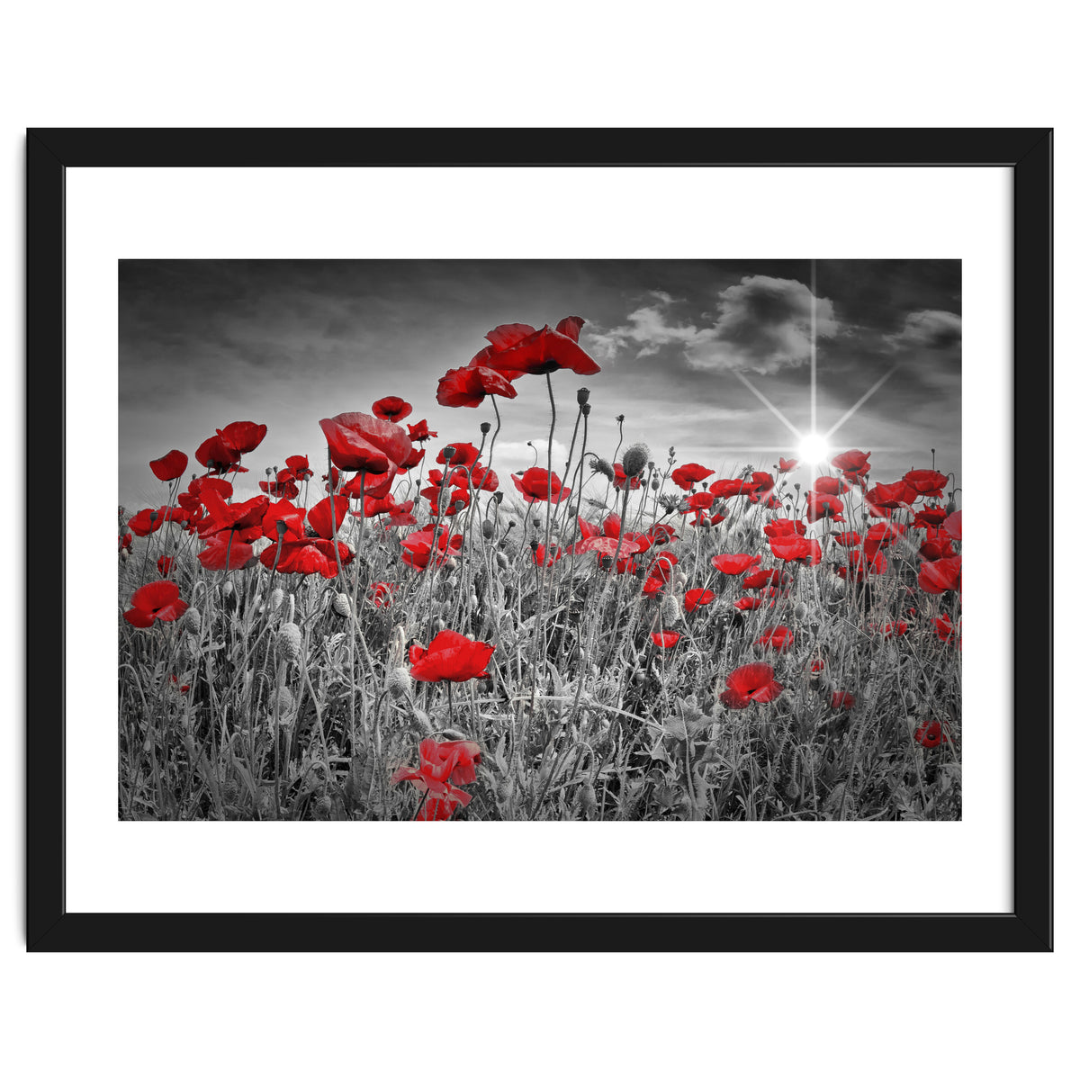 Idyllic Field of Poppies with Sun