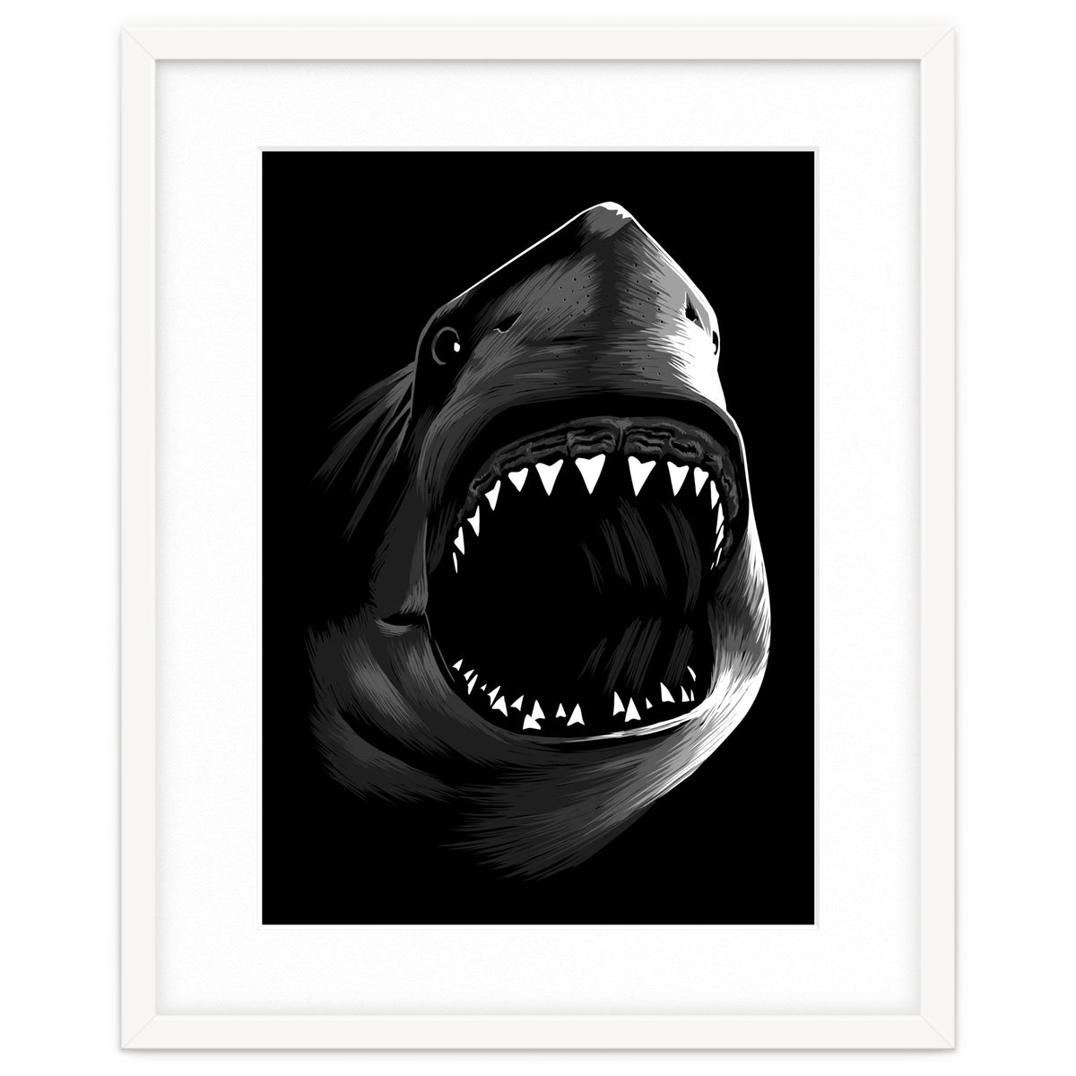 Megalodon