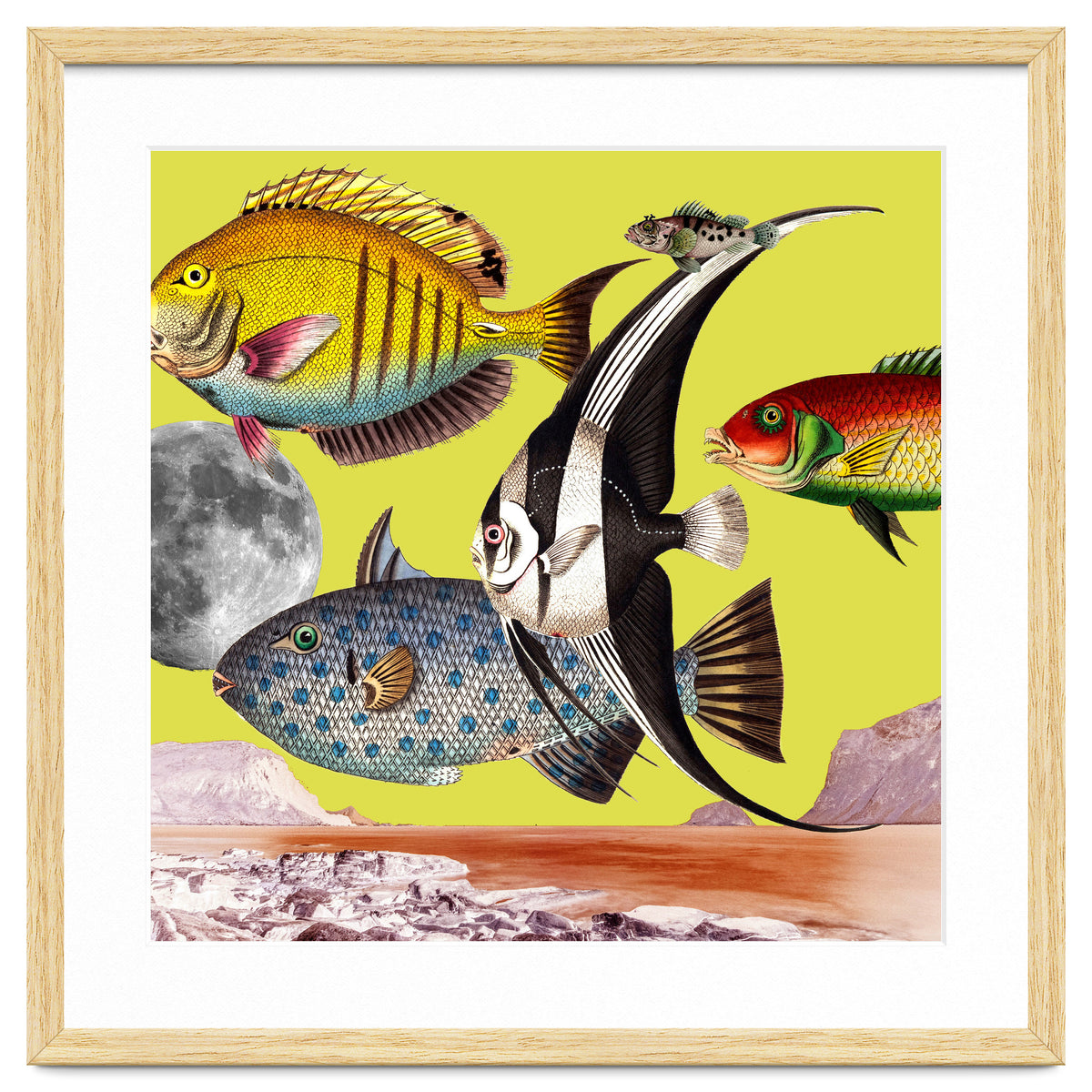 Plenty Of Fish In The Sea Yellow