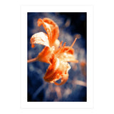 Lily Flower (Print Only) thumbnail