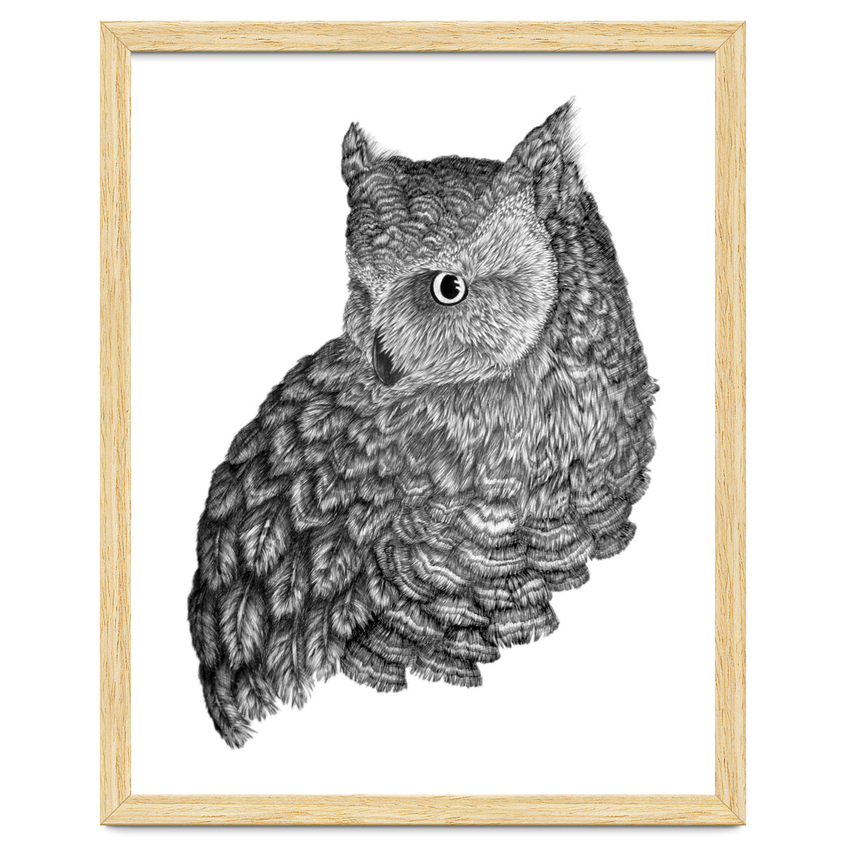 A Friend For Forsythe