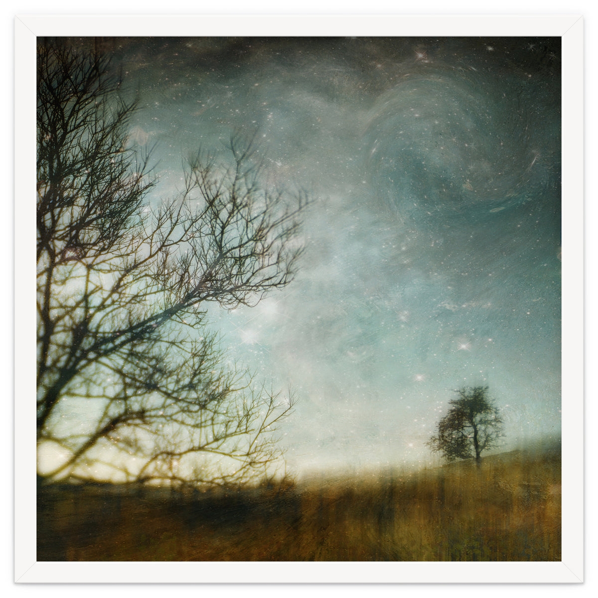 The Tree That Whispered