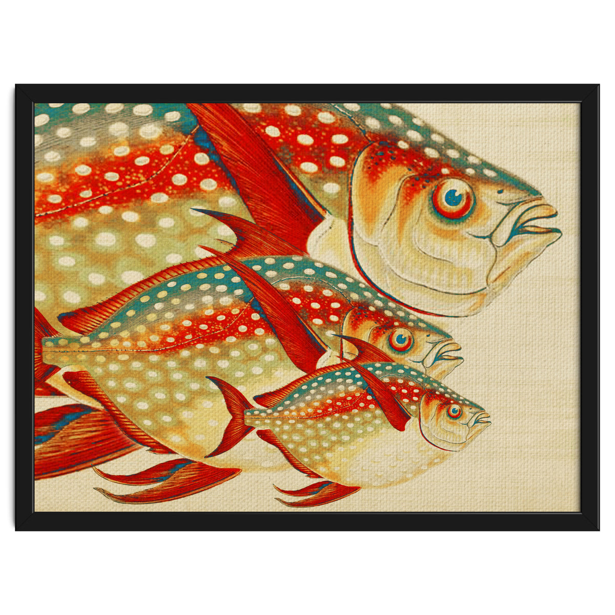 Fish Classic Designs 1
