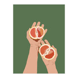 Pampelmuse (Print Only) thumbnail