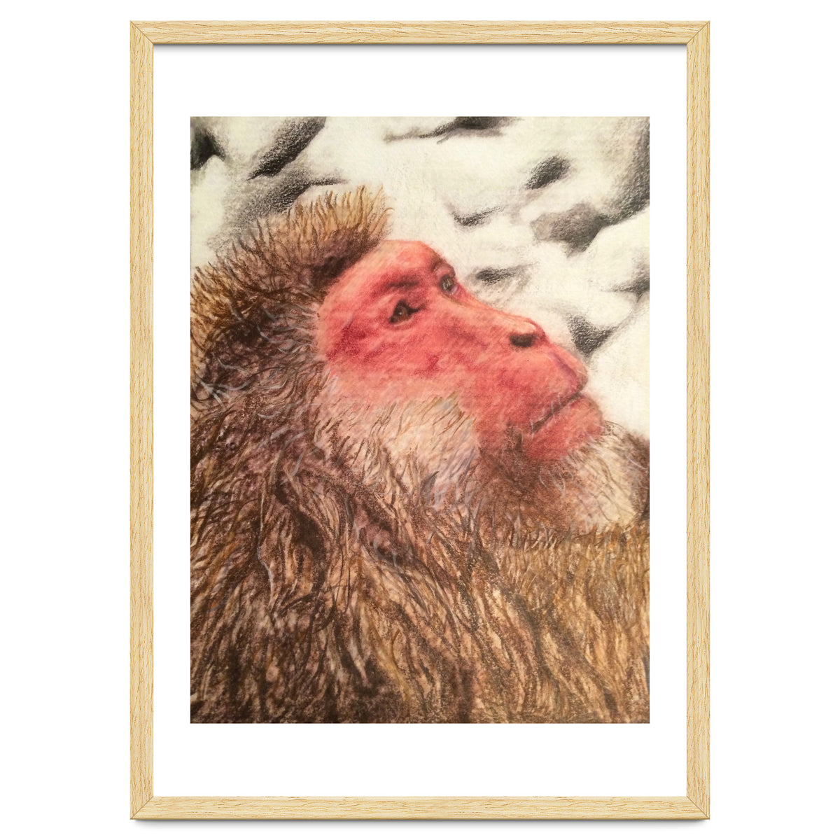 Japanese Macaque At The Onsen