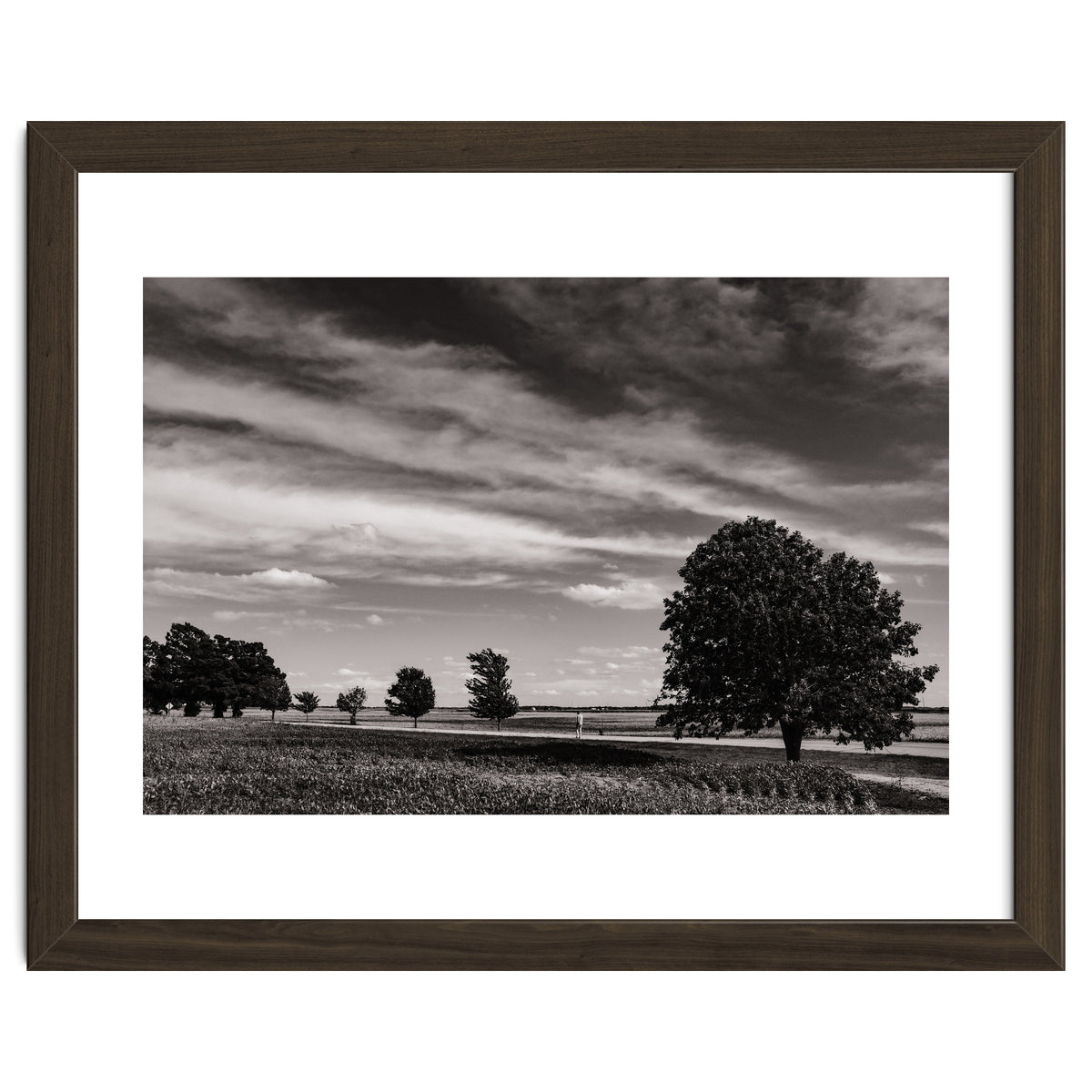 Country Road, Illinois
