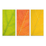 Autumn Leaves (Print Only) thumbnail