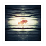 Glow (Print Only) thumbnail