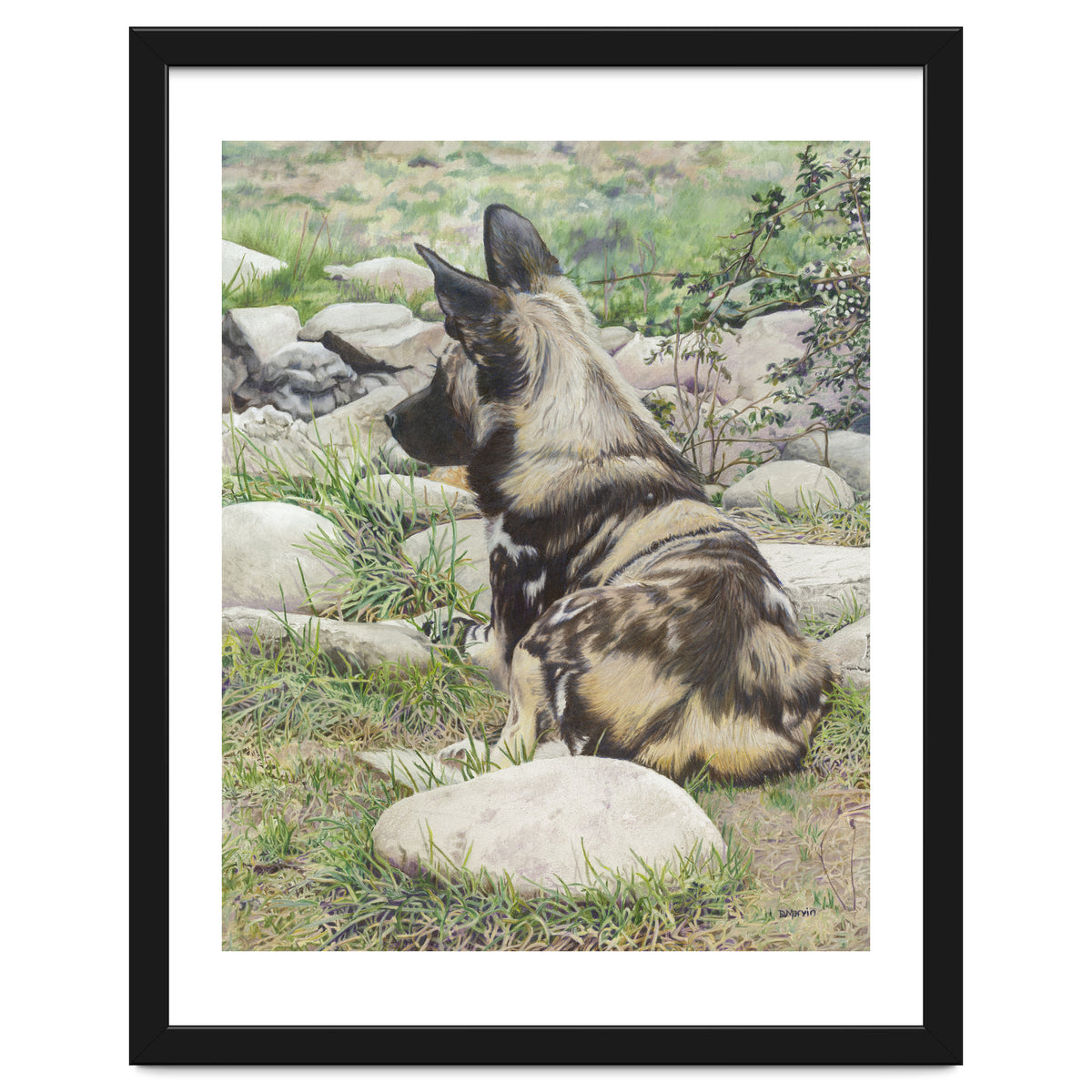 African Painted Dog I