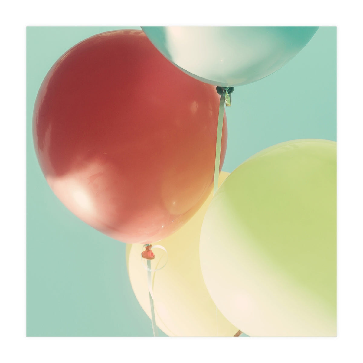 So Much Fun (Print Only)