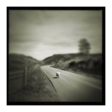 Gesto (Print Only) thumbnail