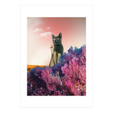 Atmosphere · The Funny Side (Print Only) thumbnail