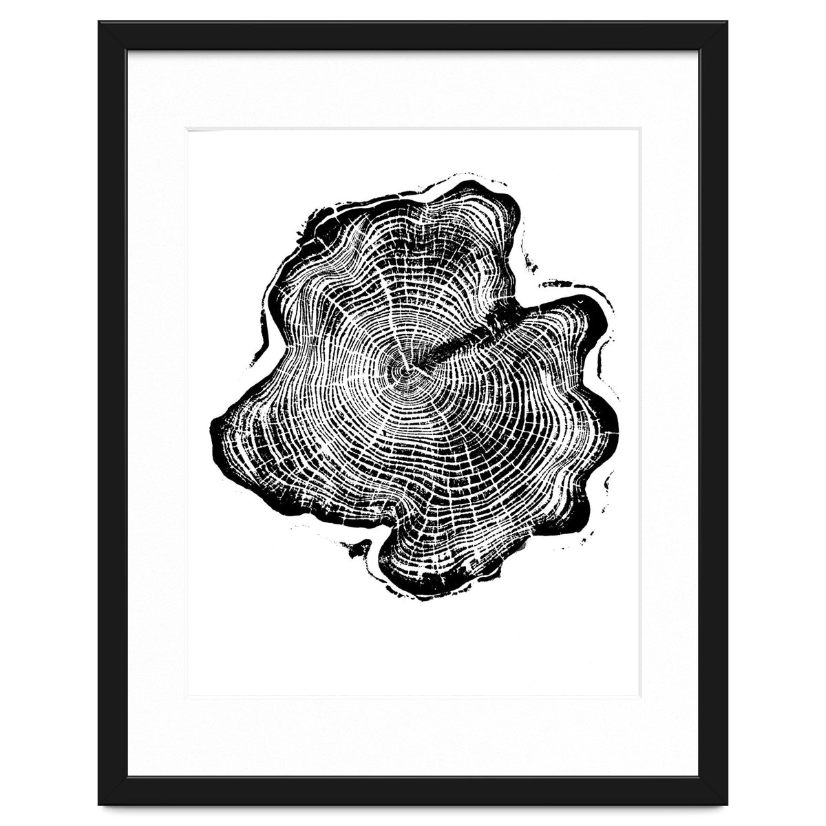 Alaskan Cypress, Tree Ring Art Print, Woodblock