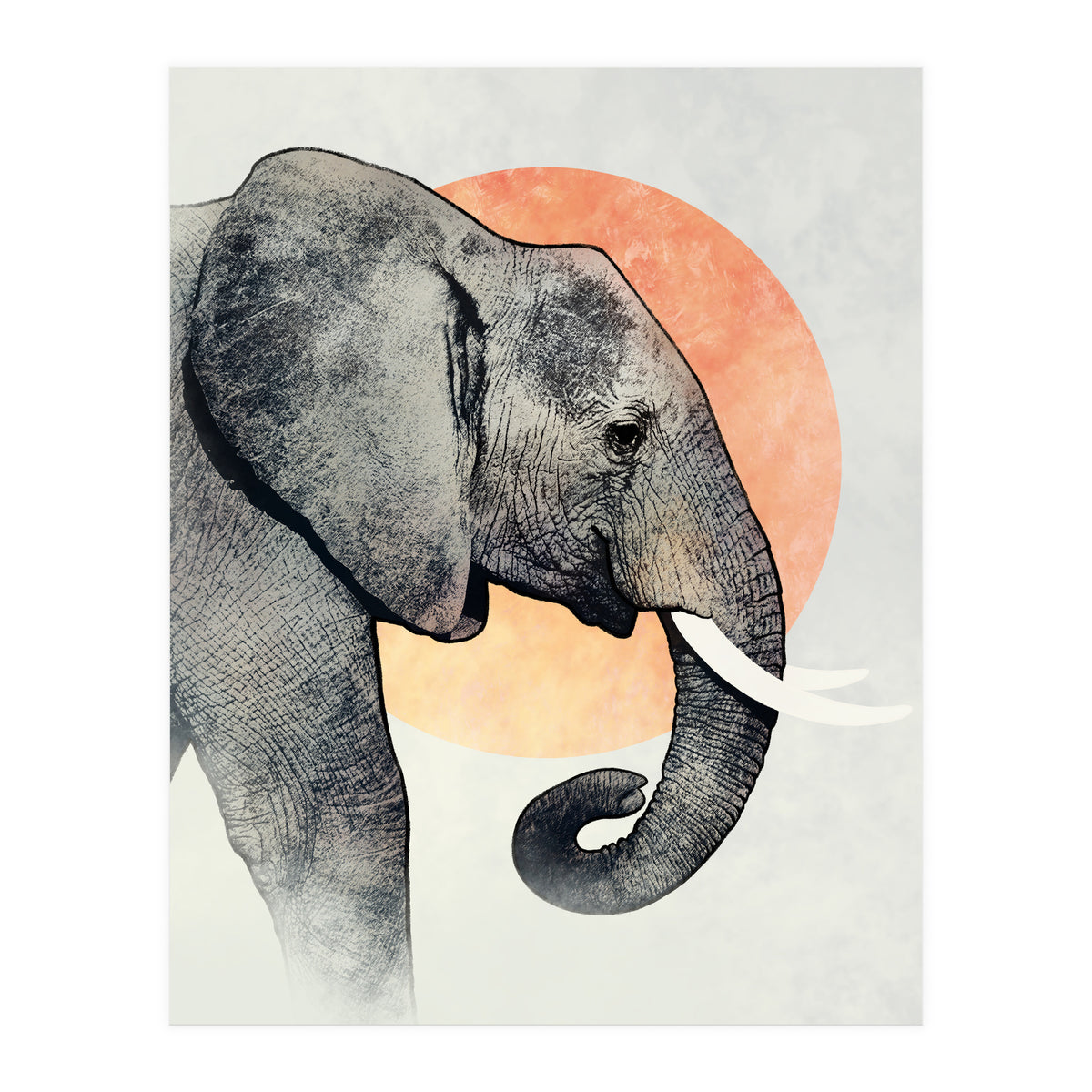 Elephant (Print Only)
