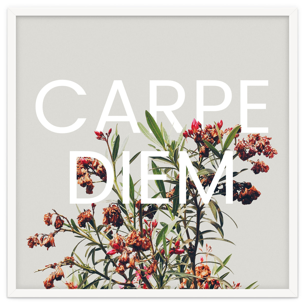 Carpe Diem