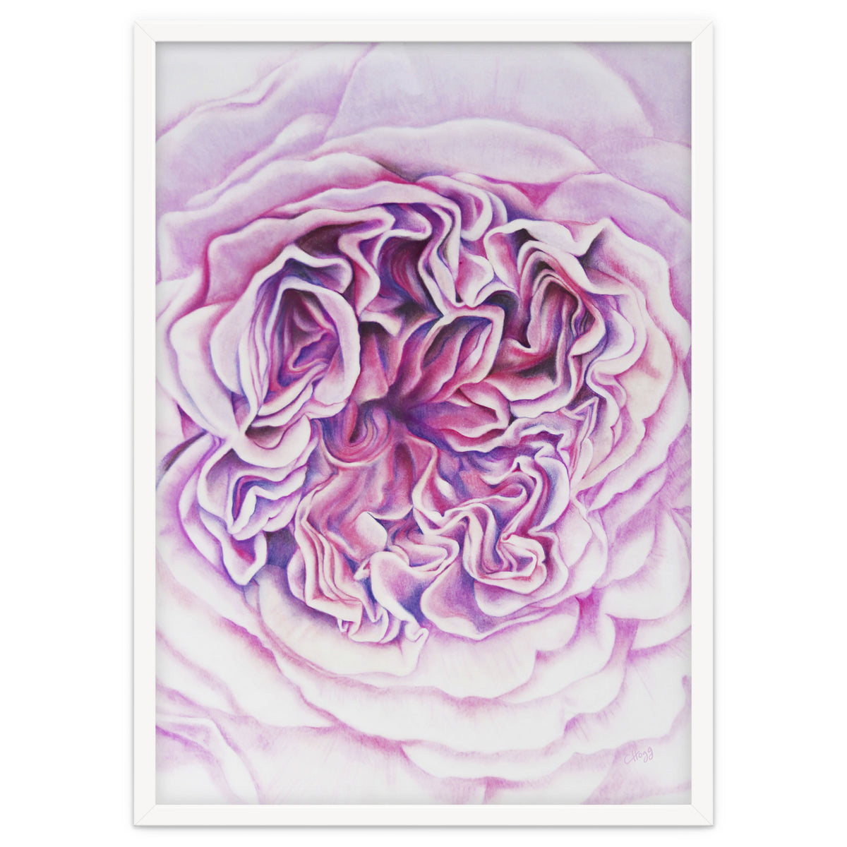 A Rose Is A Rose Std