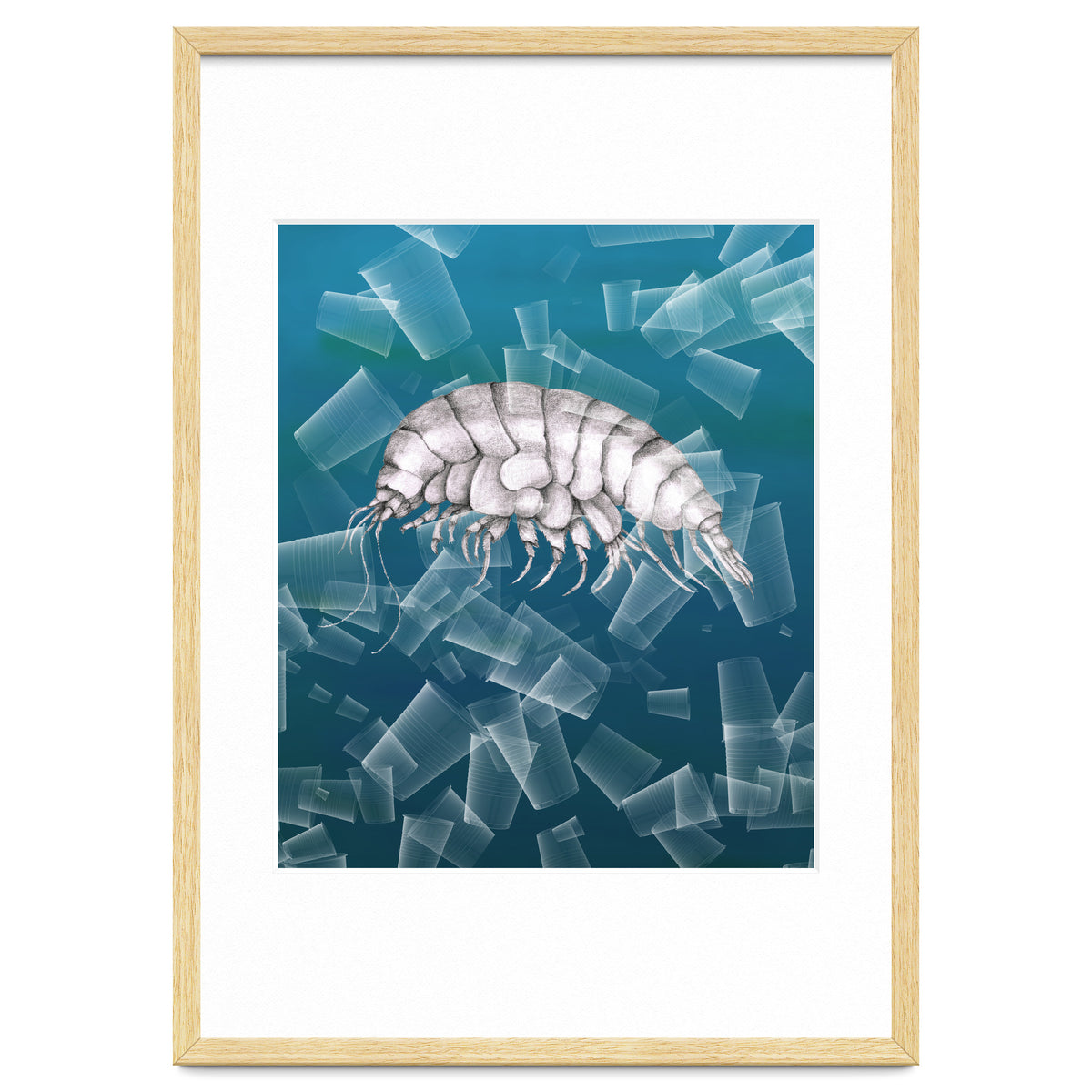 Eurythenes Plasticus