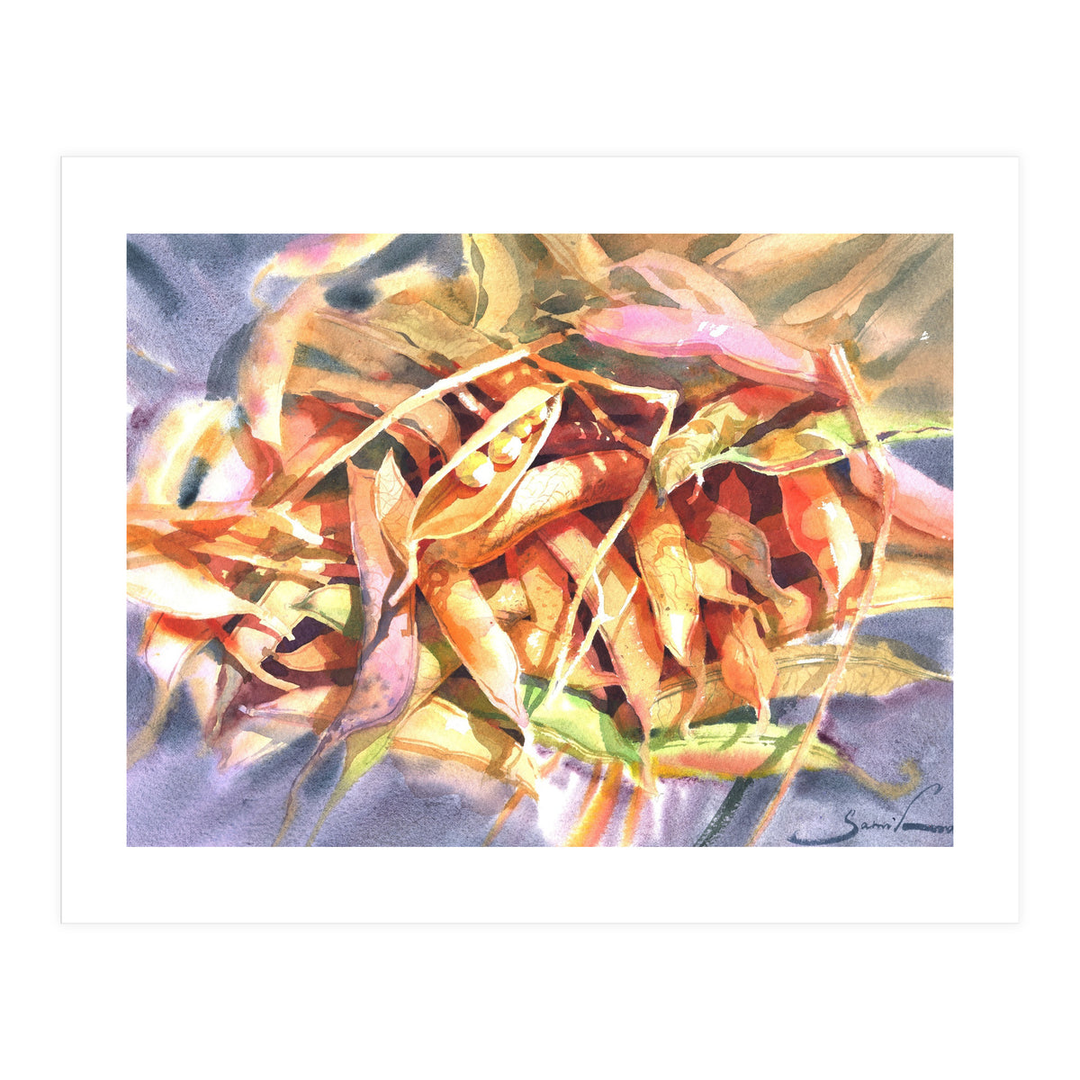 Bean Pods  (Print Only)