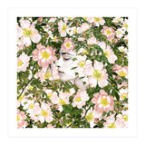 Child Of Nature (Print Only) thumbnail