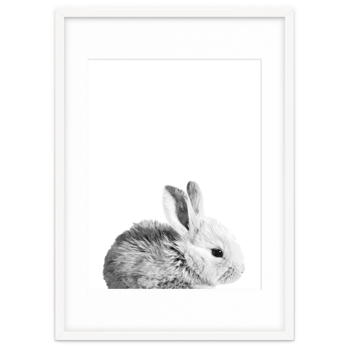 Black and White Bunny Portrait