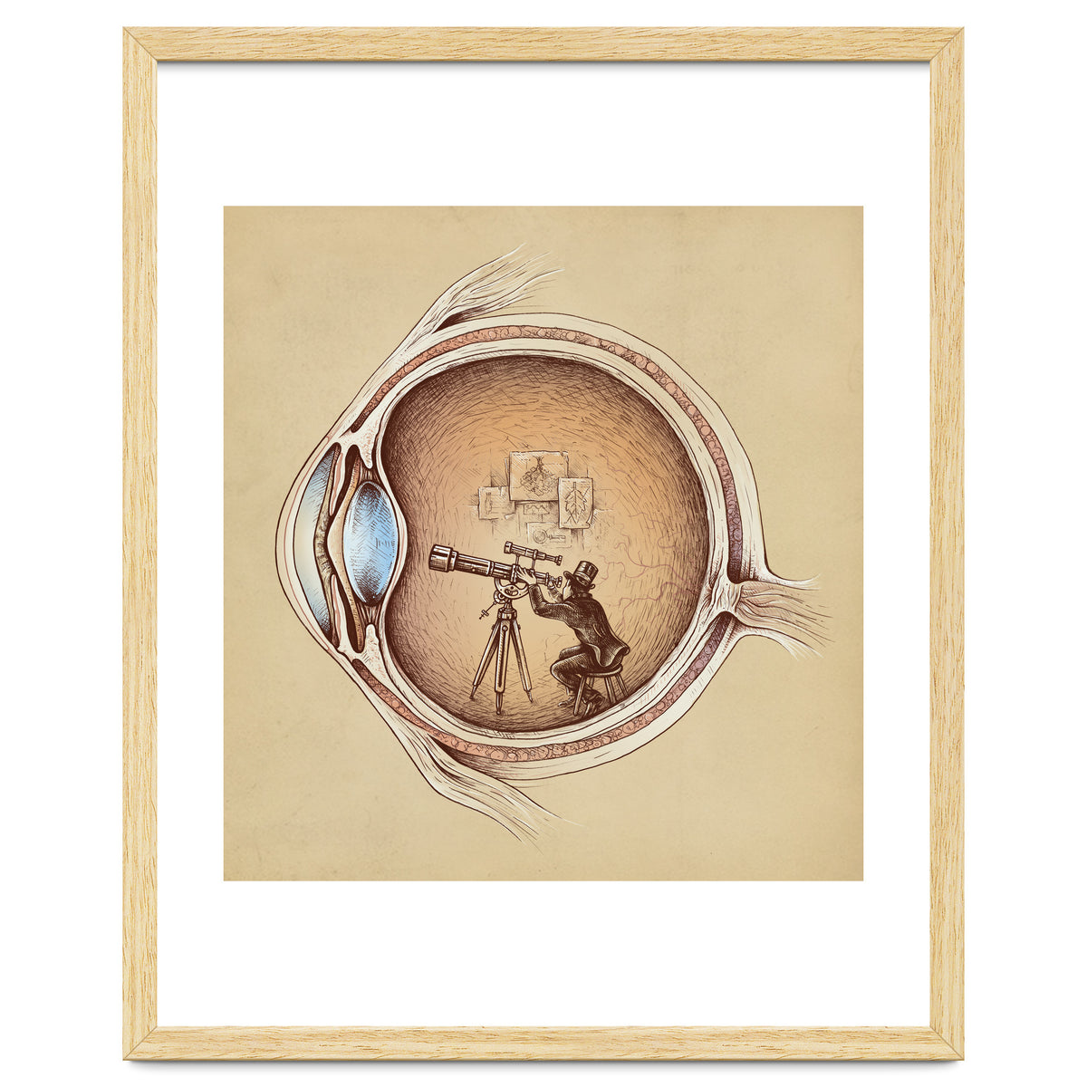 Extraordinary Observer