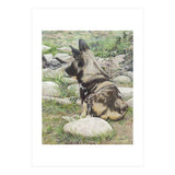African Painted Dog I (Print Only) thumbnail