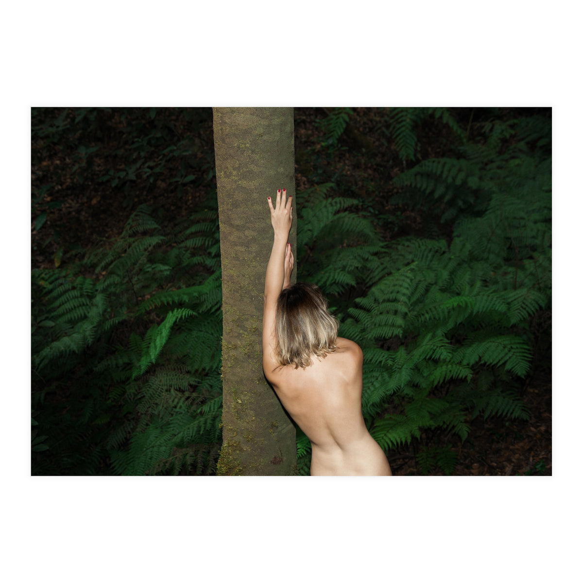 Between Ferns (Print Only)