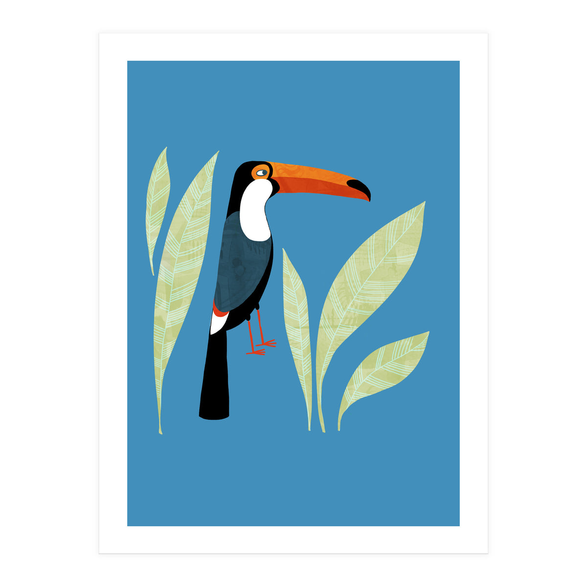 Toucan (Print Only)