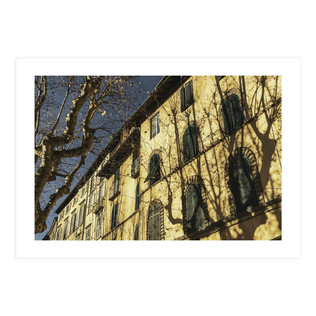 Windows From Tuscany 3 (Print Only)