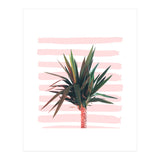 Dreamer (Print Only) thumbnail