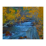 Nature (Print Only) thumbnail