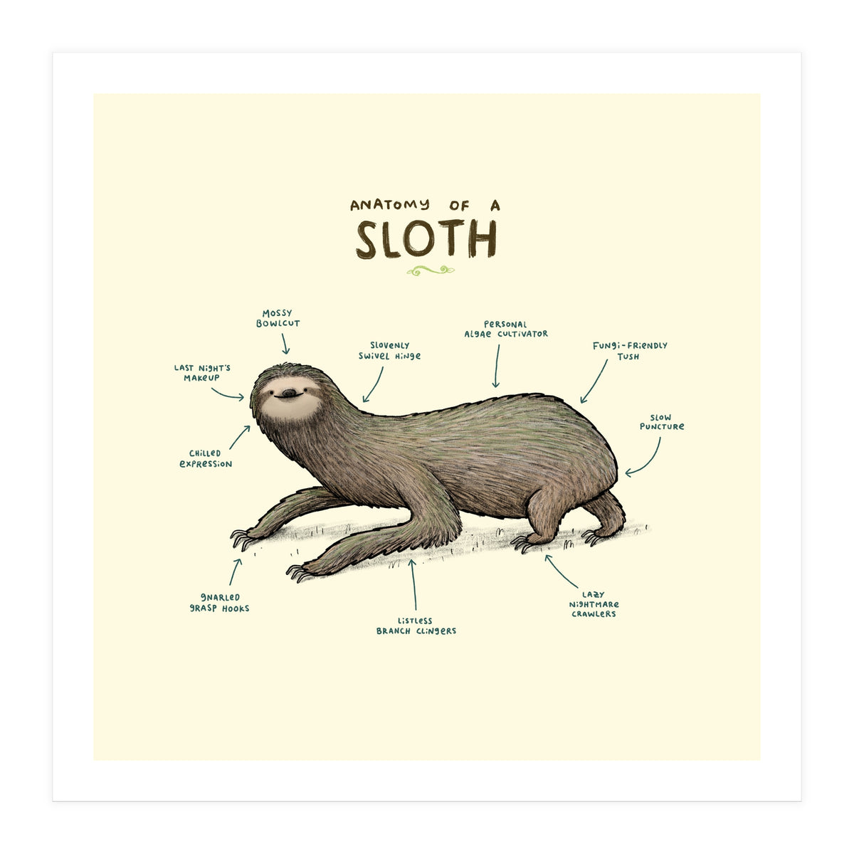Anatomy Of A Sloth (Print Only)