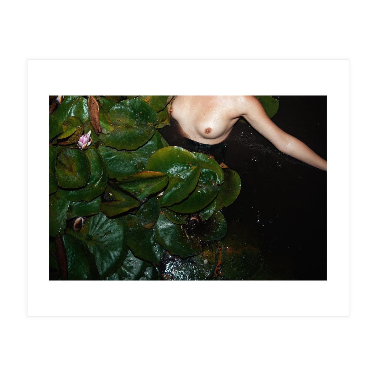 This is Not what You think It is (Print Only)