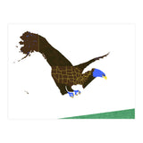 American Bald Eagle (Print Only) thumbnail