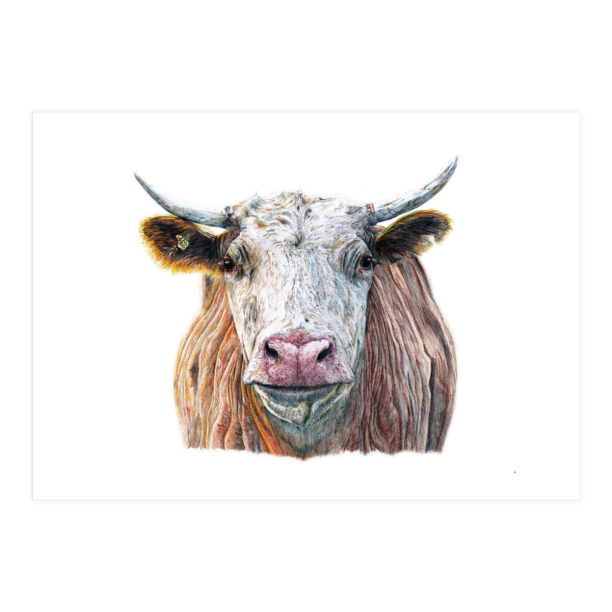 Cow No.1 (Print Only)