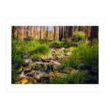 San Gorgonio Stream (Print Only) thumbnail