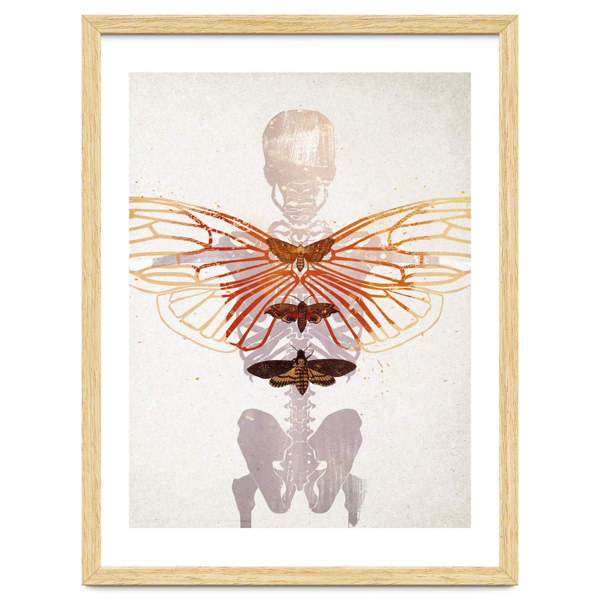 Ikarus - Like a Moth to the Flame