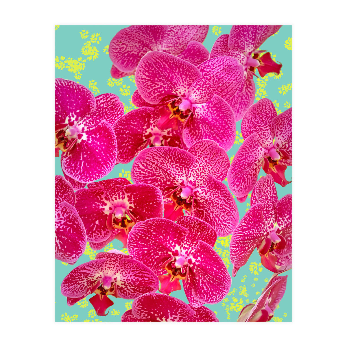 Finding My Way Back To Myself, Botanical Nature Plants Floral, Flowers Garden Colorful Boho Painting Summer Blossom (Print Only)