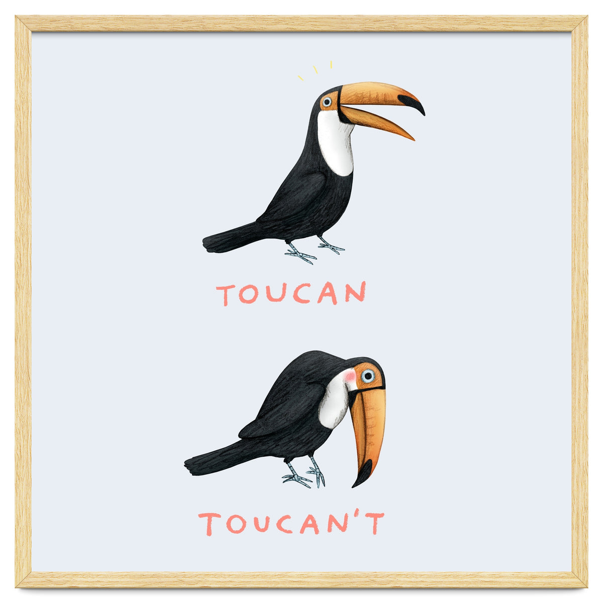Toucan Toucan't