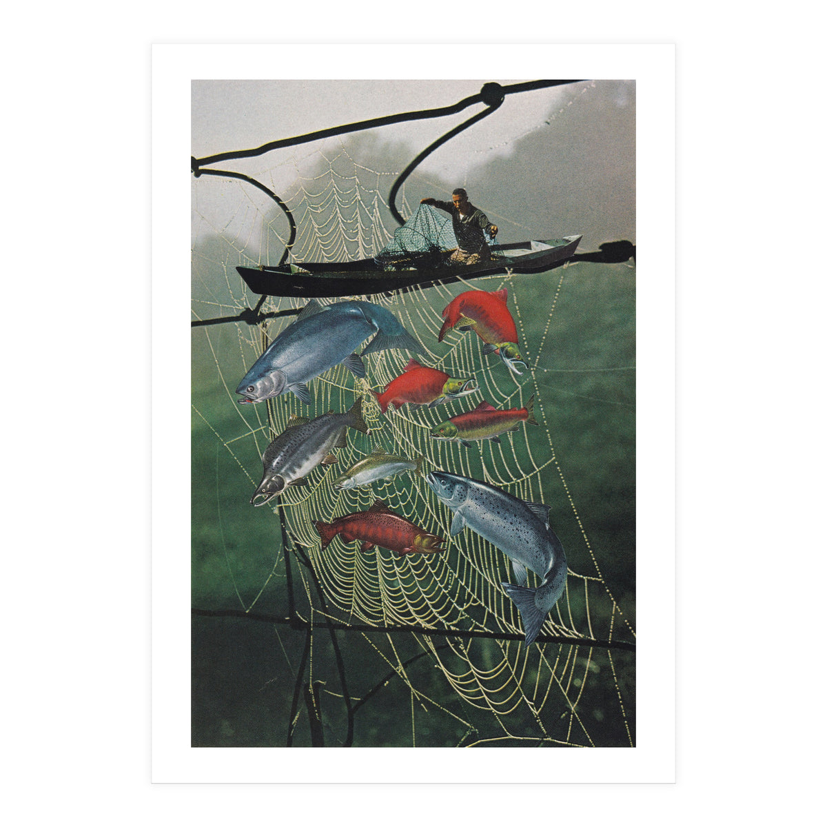 Salmon Trap (Print Only)